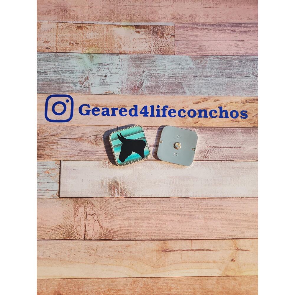Turquoise serape mule, leather working, leather conchos for tack, mule tack